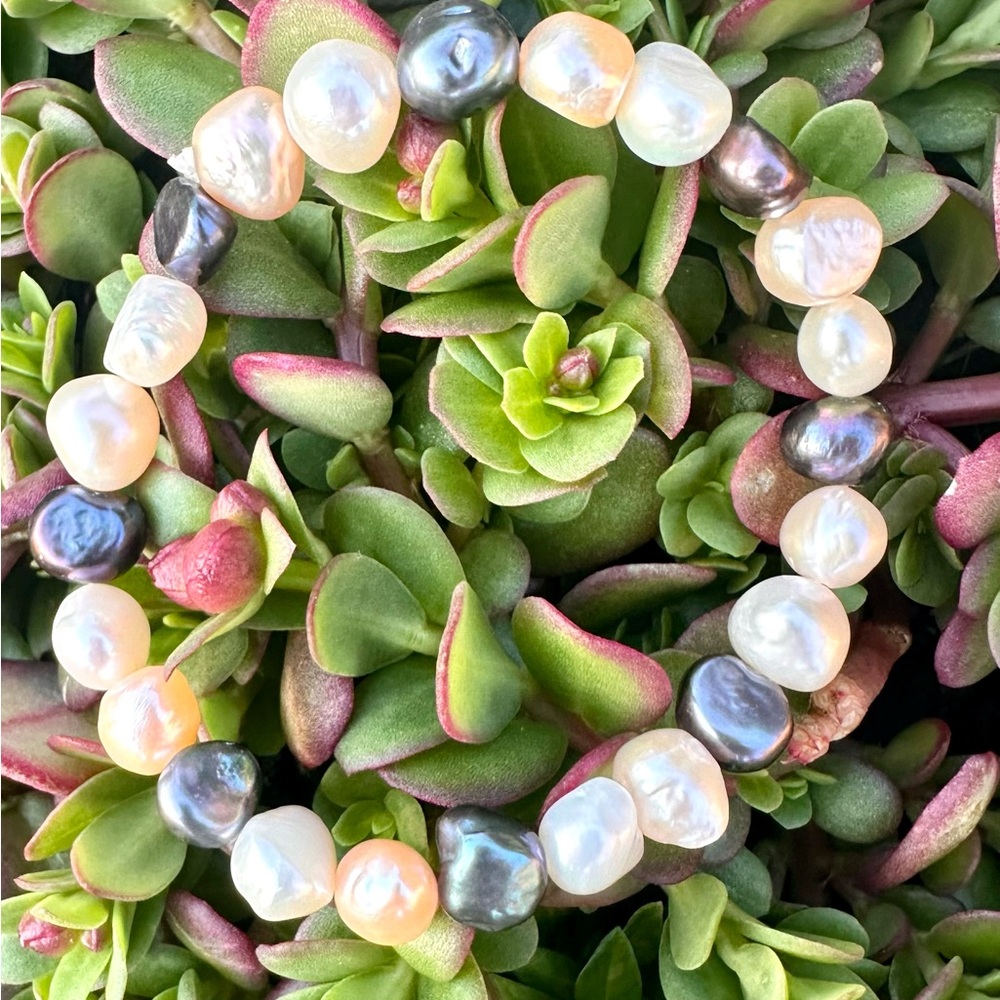 Multicolor Pearl Bracelet